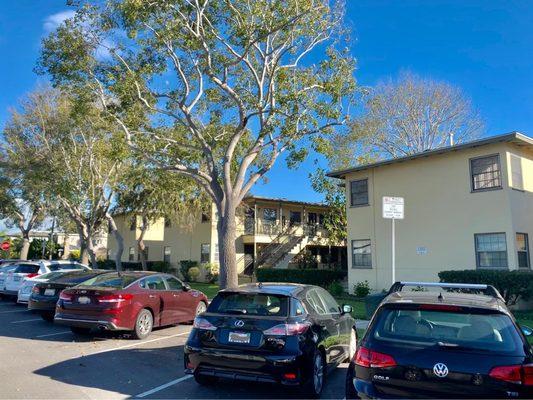 Emerald Garden Apartments