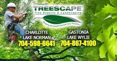 Treescape, Inc.