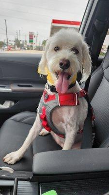 She's happy, and she looks great!