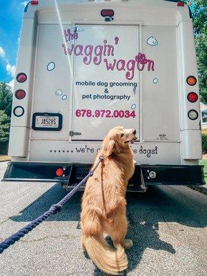 The Waggin Wagon