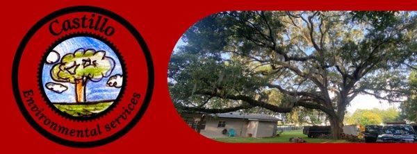 Castillo Environmental Services