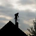 Conibear Chimney Sweep