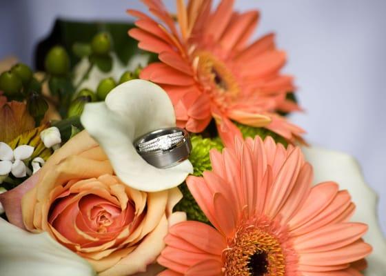 Ashley Hoyle Photography