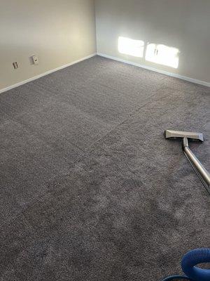 Mike's On The Spot Carpet Cleaning