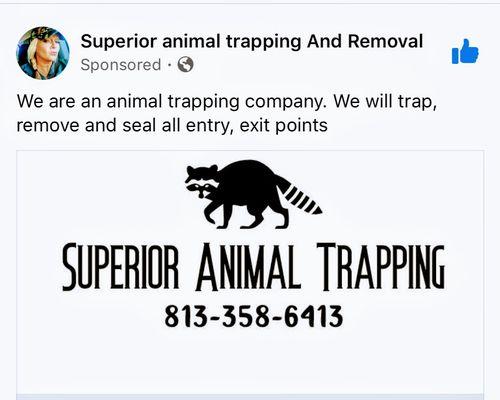 Superior Animal Trapping and Removal Service