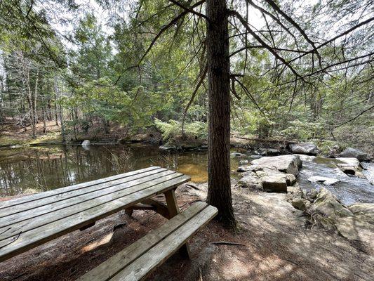 Waterside picnic area next to falls