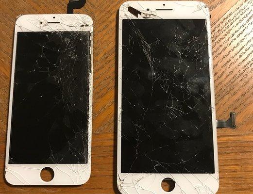 Matt Parx Iphone Repairs