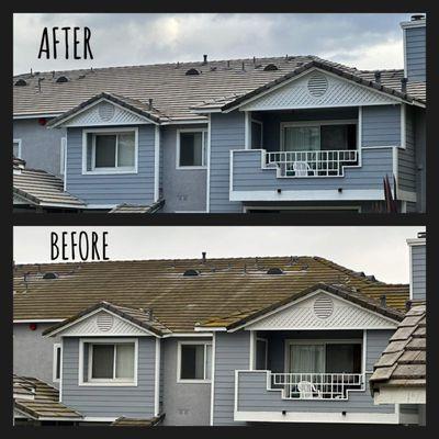 Apex Commercial Services