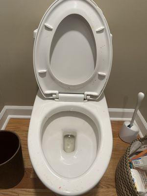 Dougie’s Cleaning Service