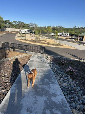 New side of camp ground.