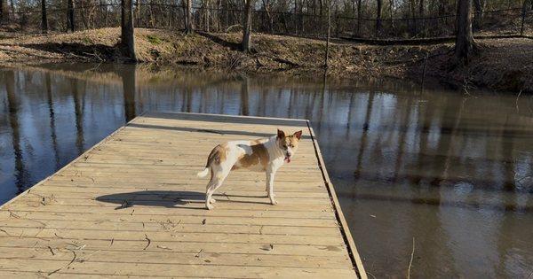 Olive Branch City Park