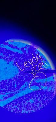 Tiffany's Affordable Childcare