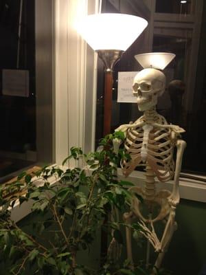 This guy, been in the waiting area for a while...