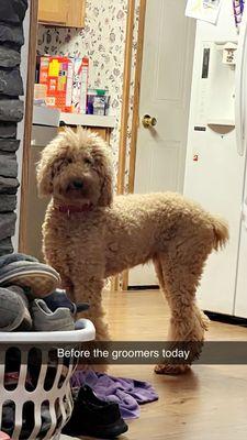 AC Grooming Salon