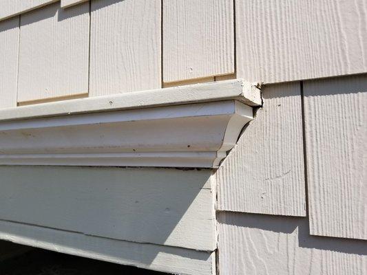 The Better Tradesman