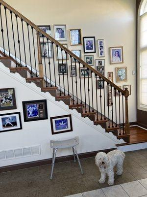 Adkins Custom Flooring