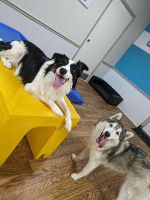 Mahika and one of his furry friends.