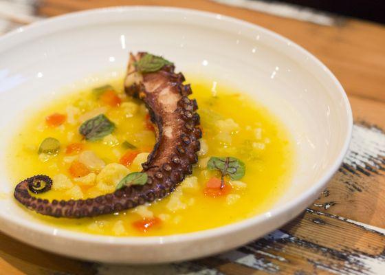 Grilled Octopus