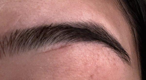 Brow Art