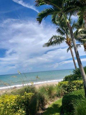 East Coast Eco Cleaning