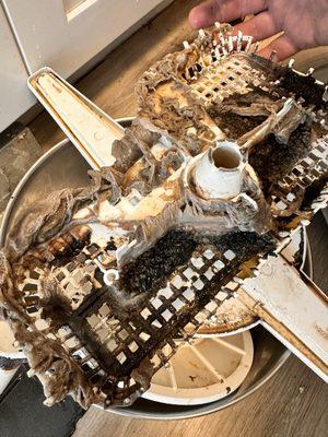 The dishwasher filter they refused to clean.