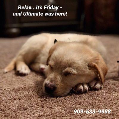 Ultimate Carpet Care