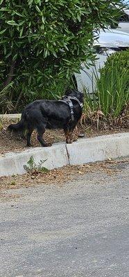 Sky Canyon Animal Hospital