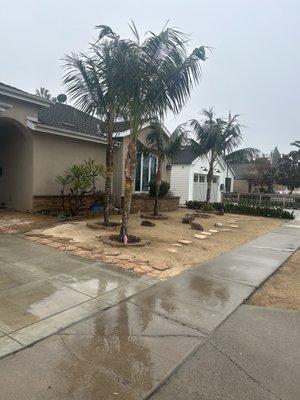 Aragon Landscaping & Tree Service