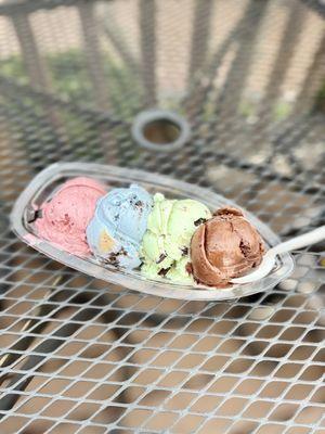 Ice Cream Flight (4 Flavors) - kiddie scoops