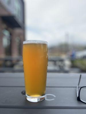 A crisp & delicious IPA