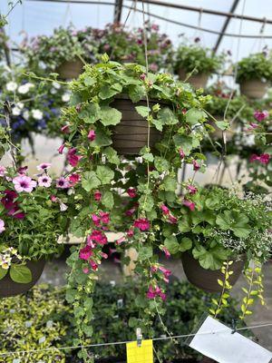 Backroads Greenhouse