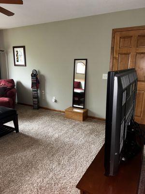 Clean Bee’s Cleaning & Organizing