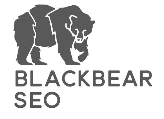 Black Bear SEO Winston Salem