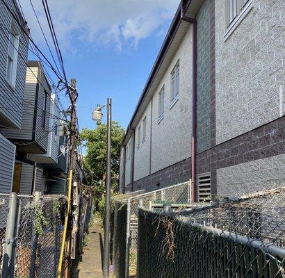 Now You See It Now You Won't