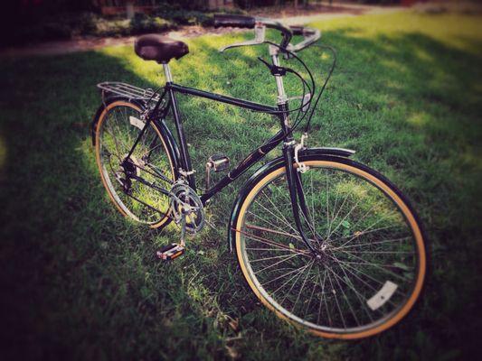Alpine Cycles
