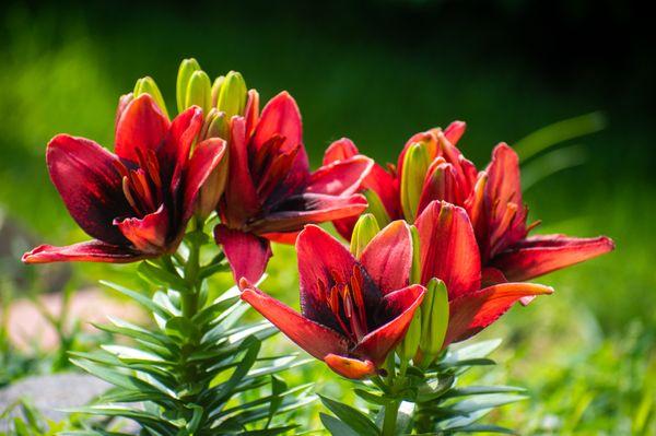 On Time Pest Control