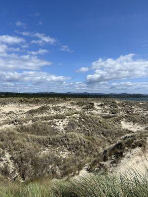Harbor Vista County Park