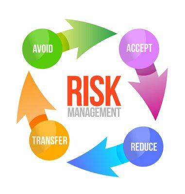 It Risk Managers