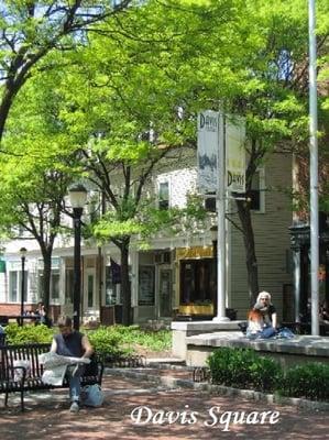 Davis Square - where you want to be.