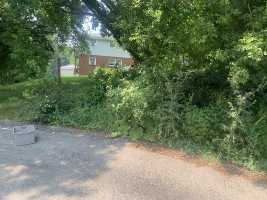 Nitram’s Lawn Care