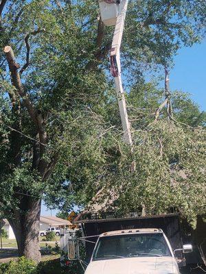 JLS Tree & Home Care