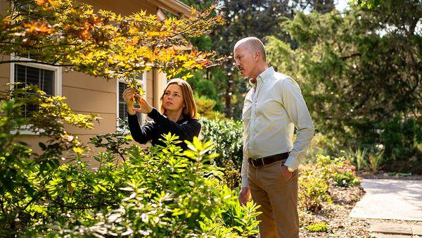 Bartlett Tree Experts