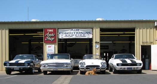 The Auto Shop