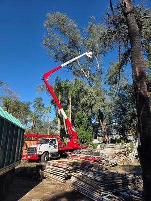 Gabriel Lopez Tree Service