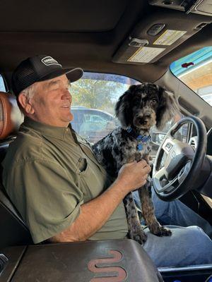 BoCephas, after Andy groomed him today.