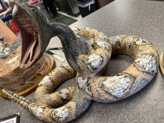 Cool rattlesnake