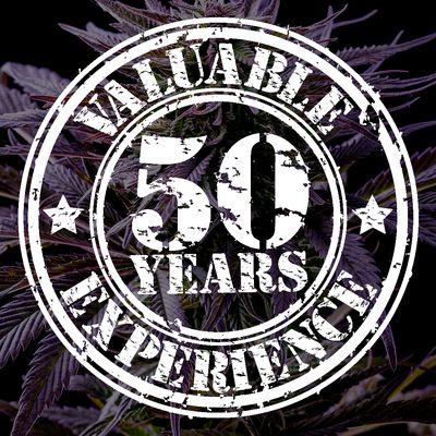 The most experienced staff in the region!