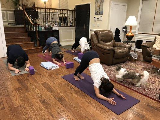 Private lesson in student home .