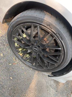 Arreola's Complete Landscape Service