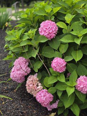 Tennessee Welcome Center